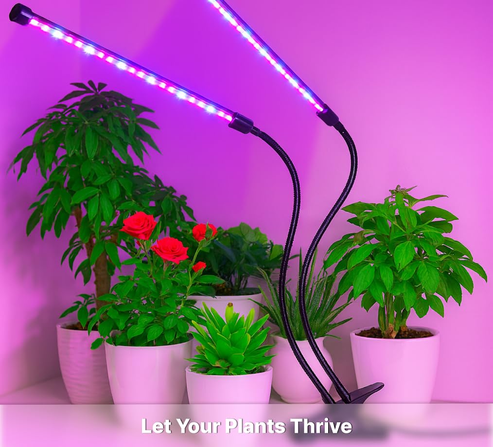 Black Grow Light for Plants Light with Timer - Auto Turn On and 5 Levels Brightness with 360 Degree Adjustable for Indoor Plants or Succulents - Plant Growing Lamp for Office or Home