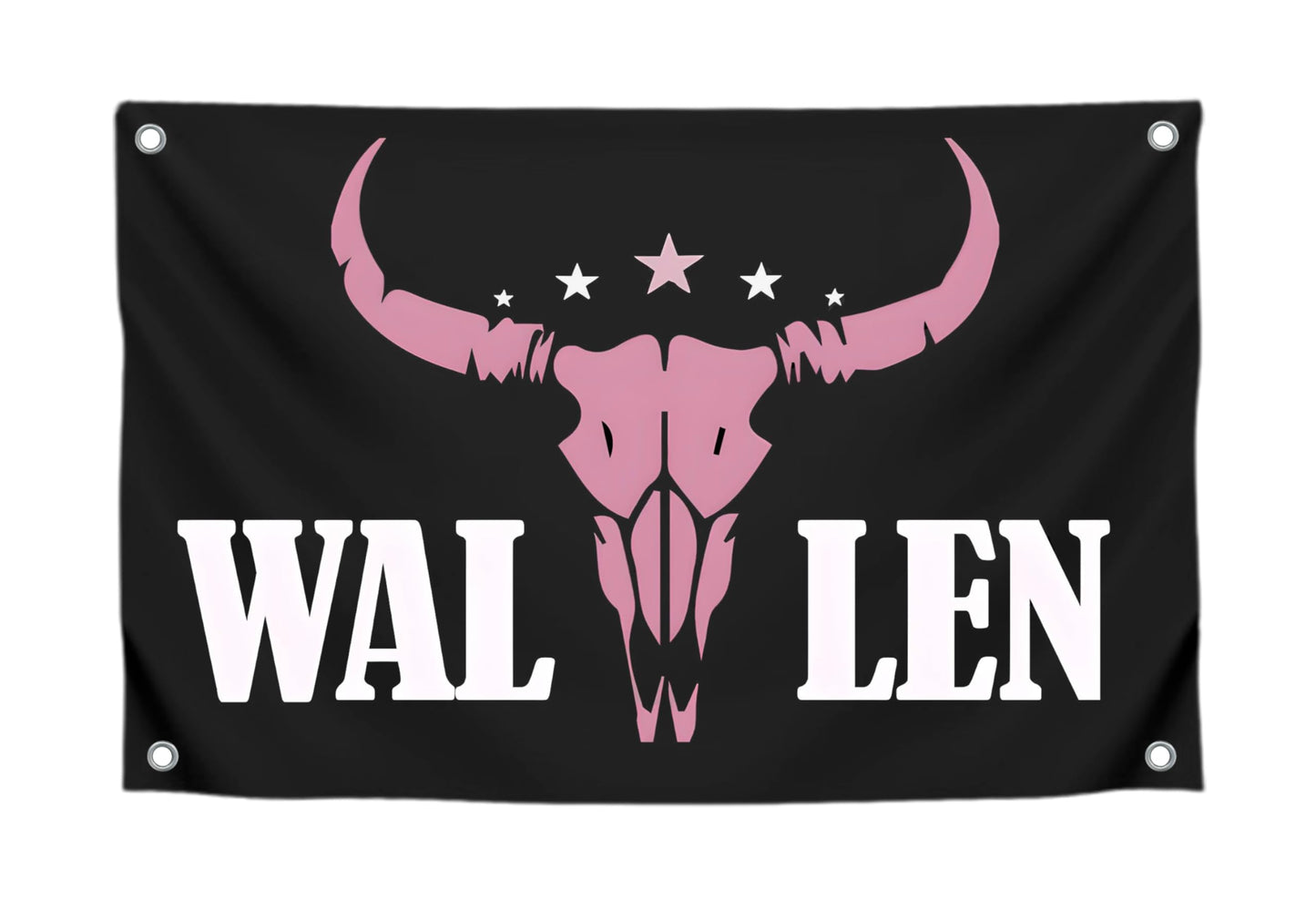 3x5 Ft American Music Polyester Flag with 4 Grommets - Western Pink Bull Skull Single Sided Banners - Man Cave Wall Flag for College Dorm Room - Funny