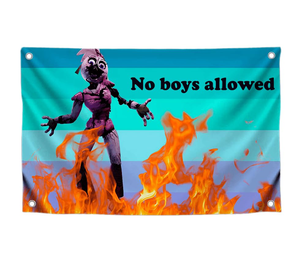 3x5 Feet Funny Fire Quote Flag "No Boys Alloved" with Four Brass Grommets - Polyester Decor for Student Girls Bedroom - Tapestry Banners Can Be Used Indoor or Outdoor - Funny College Dorm Flags