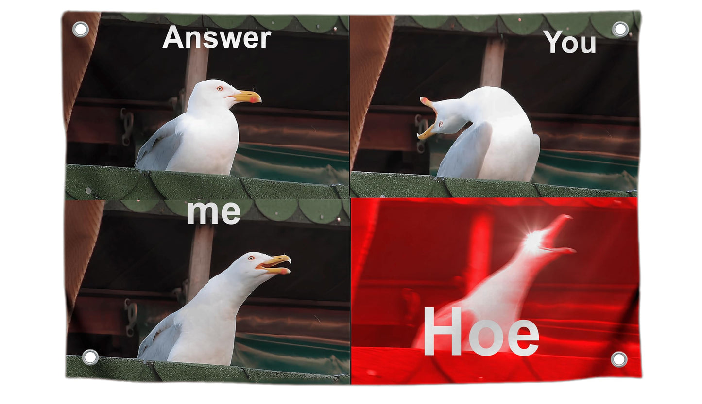 3x5 Ft Answer Me You Hoe Tapestry Single Sided Flag with 4 Grommets - Seagull with a Malevolent Laugh Meme Polyester Banner - Tapestry Birds with Smile Meme Wall Decor - Seagull Tapestry For Classroom