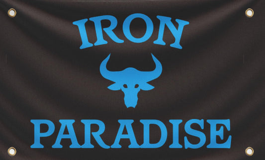 3x5 Ft Iron Paradise Polyester Flag with 4 Grommets - Banner Home Garden Decoration Wall Gym Single Sided Flag - Holiday Party Indoor Outdoor Decor - Motivational Flags Fitness - Banners for Room Guys