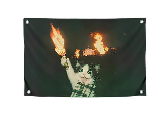 3x5 Feet Cool Flags Banners for Room Guys and Girls with Four Brass Grommets - Single Sided Meme Tapestry Flag with Cat - Polyester Poster for Bedroom Decor Banner for Inside Outside in College Dorm