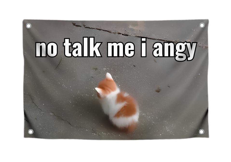 3x5 Feet Cat Meme Single Sided Flag with Quote "No Talk Me I Angry" with Four Brass Grommets - Funny Animals Banner for Wall Decoration - Polyester Funny Cats Flags Outdoor or Indoor Yard Décor
