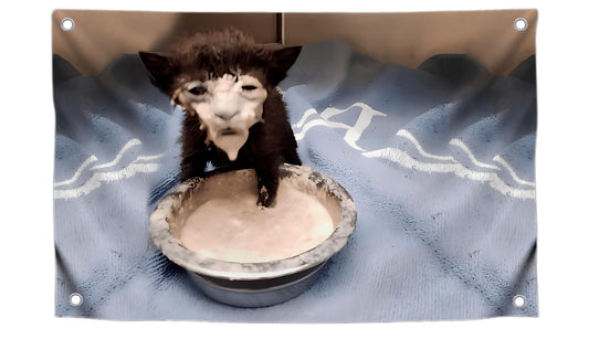 3×5 ft Funny Kitten in Sour Cream Meme Banner Flag